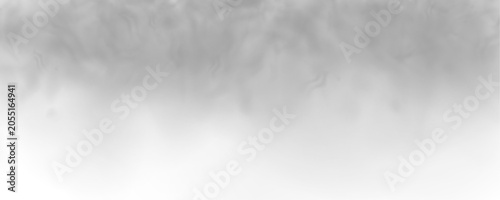 Photos Grey mist rolls softly across transparent background with elegant smoky details