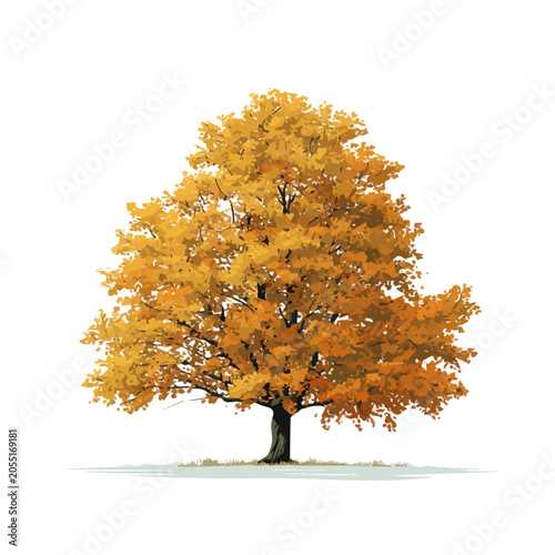 Photography Minimalist 2D vector icon representation of a Beech Tree, displayed on a pure wh