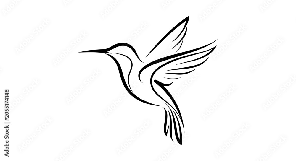 Fototapeta premium Hummingbird icon, outline, white background, vector illustration