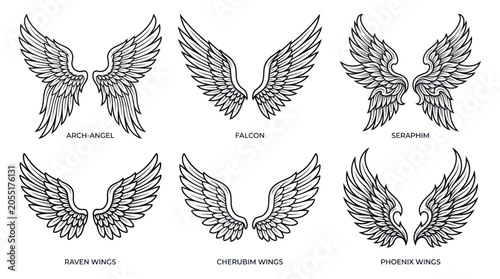 Schilderij op canvas Ornate mythical and avian wings set for graphic design