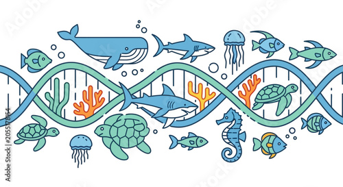 Photography Marine Life DNA Helix Sea Creatures.