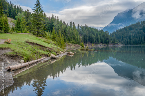 Reflections on the shore of Two Jack Lake in Banff National Park, Alberta, Canada