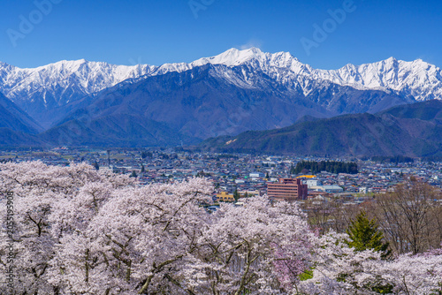 Cherry blossoms and the Northern Alps in Omachi, Nagano, Japan