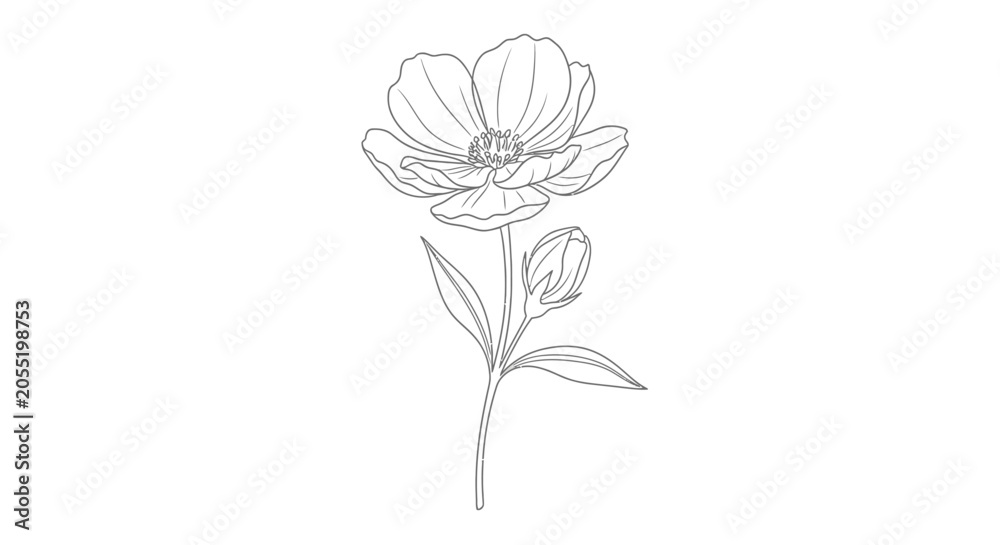 Obraz premium Detailed drawing of a single flower.