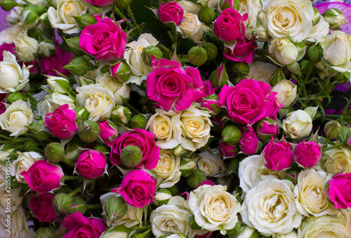 Beautiful bouquet of pink and white roses in full bloom. Romantic floral background with delicate petals, fresh buds, and soft colors, perfect for celebrations, weddings, and love themes