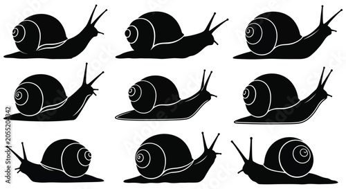 Fotografija Black Silhouette Snails In Various Poses Vector Illustration