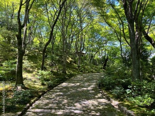 Jojakko-ji Temple in Arashiyama, Kyoto, Japan
