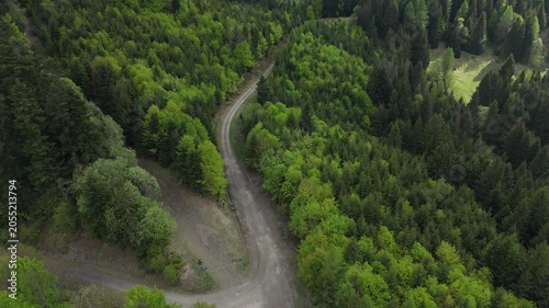 Aerial forward flight with tilt down over winding dirt road in dense green forest 
