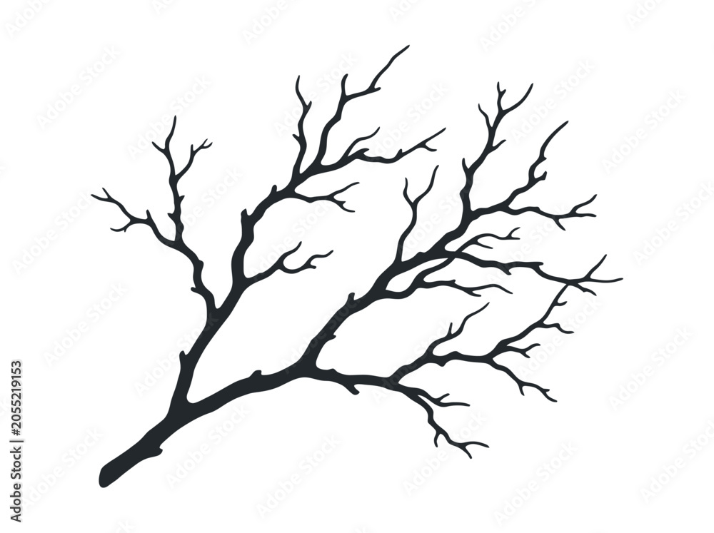 Fototapeta premium Silhouette of a bare tree branch against a white background.