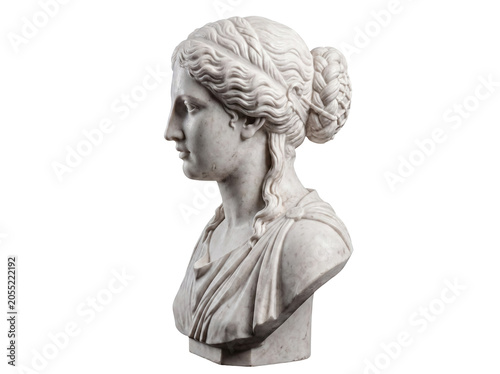 Profile view of a classical white marble bust depicting an ancient goddess with intricate hair.