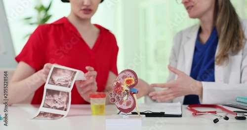 Kidney model and urine sample against doctor showing ultrasound images to patient. Physician consults woman about treatment in hospital slow motion