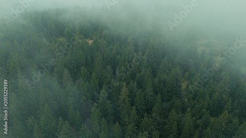 Aerial forward flight with tilt down over forest clearing in shifting fog