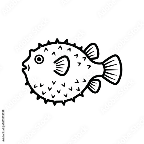 Fotografie Pug Face Puffer Toxic Marine Fish.