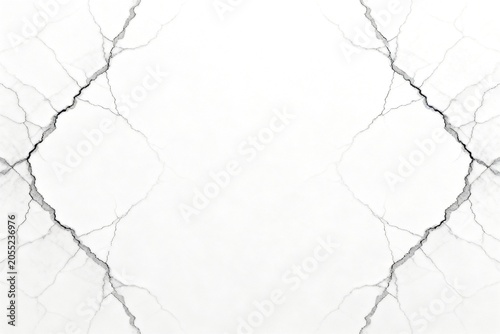 White Marble Texture with Black Veins