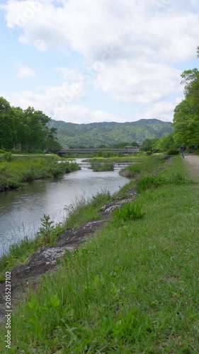 Fresh Greenery Along Kyoto Kamogawa River Under Blue Sky, Relaxing Early Summer Scenery in Japan