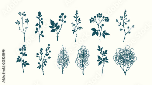 Canvastavla Collection of dark teal botanical silhouettes, wild plant stems and floral elements on cream back