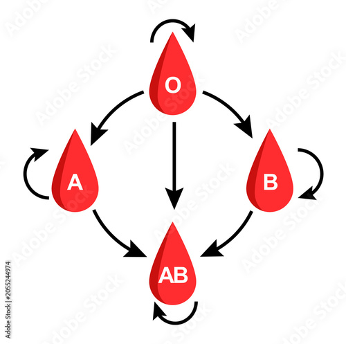 Billede på lærred Blood Group Compatibility and Transfusion Chart