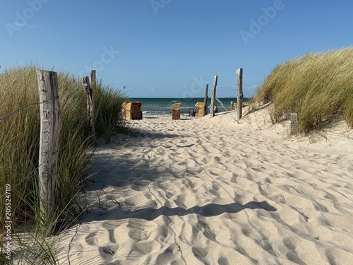 path to the sea through small dunes on the beach