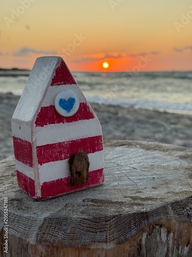 self created wooden house from driftwood on the beach