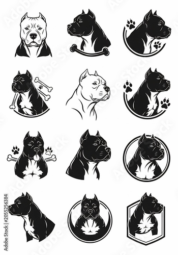 Guardians of the Silhouette