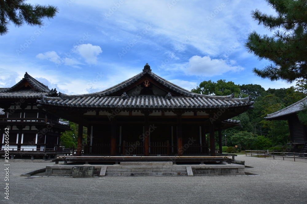 Fototapeta premium 奈良県 奈良市の唐招提寺