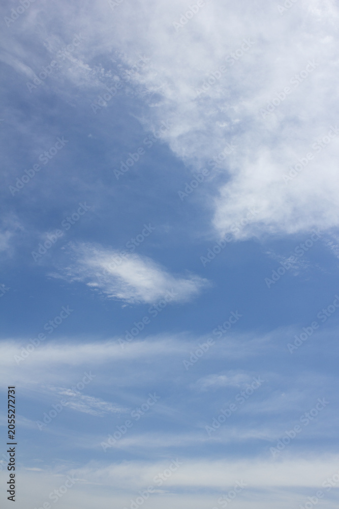 Fototapeta premium It is a sky with feathery clouds.
