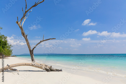 Kalapathar Beach and Vijaynagarbeach, Havelock Island