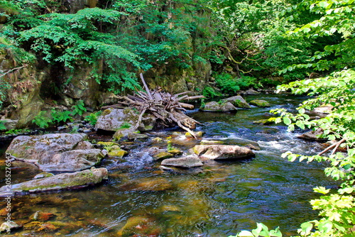 Fotografie Das Bodetal bei Thale