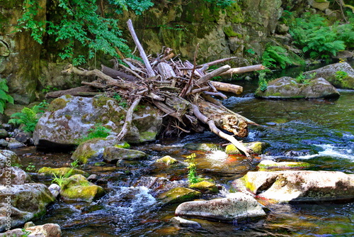 Quadro em tela Das Bodetal bei Thale