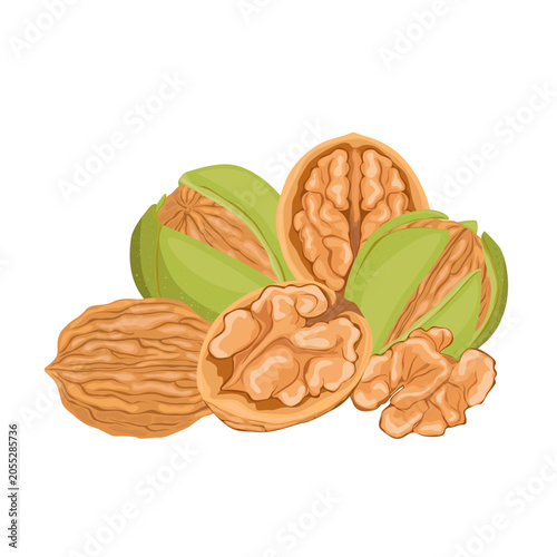 Green Walnut. Whole Shelled and Half Kernel