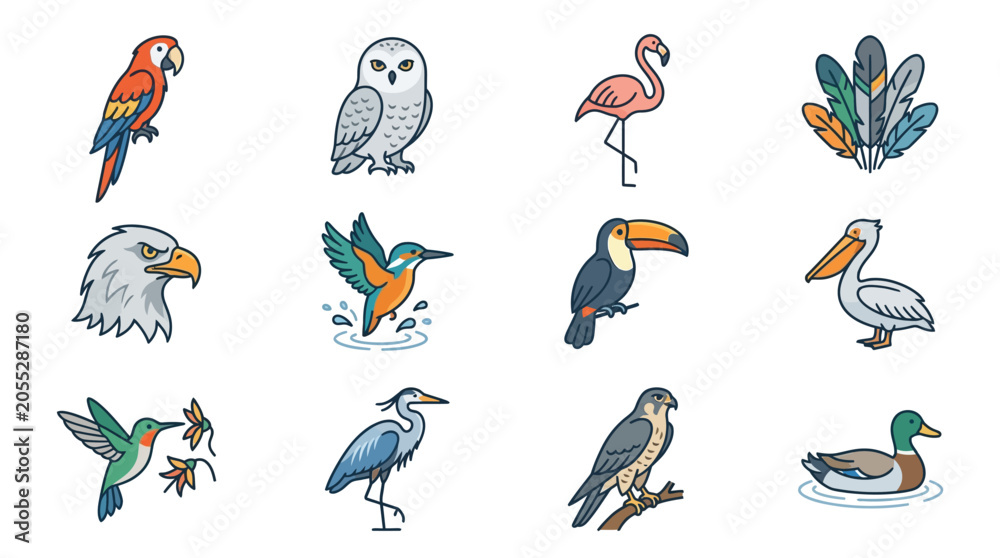 Obraz premium Colorful illustrations of various bird species.