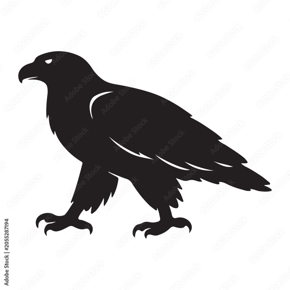 Fototapeta premium Eagle walking silhouette isolated on white background vector graphic illustration of wild predatory bird looking forward.