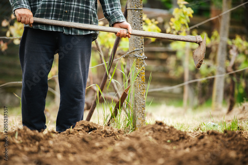 Fotografija Hoe digging and loosening soil in vegetable garden