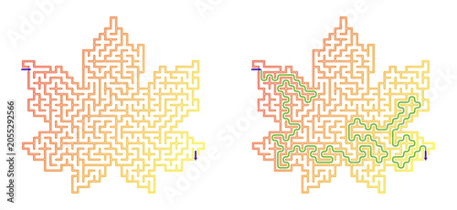 Colorful maze design in the shape of an autumn maple leaf  