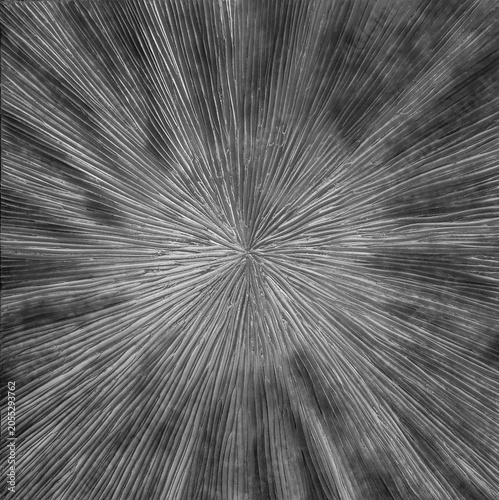 Abstract relief background