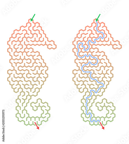 Seahorse maze puzzle activity for children in colorful design  