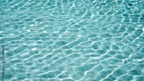 Clear blue water surface with ripples and sunlight reflection in swimming pool.