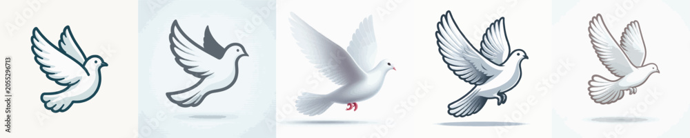 Obraz premium Dove Vector Illustration