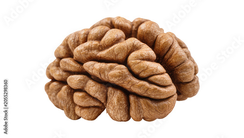 Obraz na płótnie Isolated healthy walnut kernel half resembling a human brain, delicious snack fo
