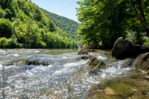 Photography Flowing river current over submerged rocks in the Kolpa Kupa River beneath a lea