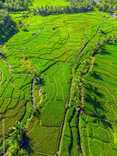 Beautiful morning view in Indonesia, panoramic landscape of rice fields with mountain ranges and clear sky