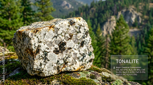 Tonalite Specimen Idaho Batholith Clearwater County Idaho USA Ultra Realistic Geological RAW Photograph