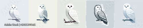 Snowy Owl Vector Illustration