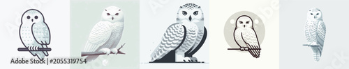 Snowy Owl Vector Illustration
