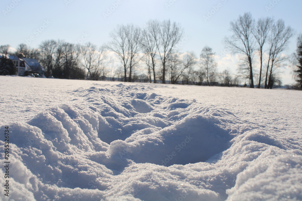 Obraz premium Snow-covered winter landscape – serene nature background with copy space