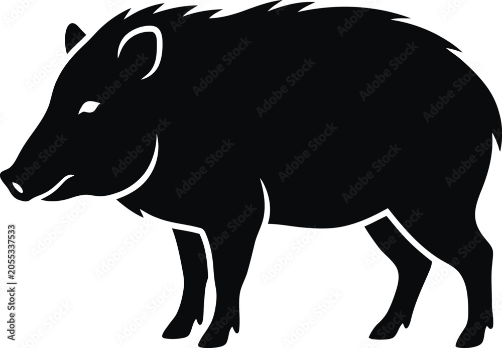 Obraz premium Black silhouette of wild boar standing on white background side view.