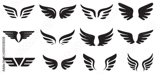 Canvastavla Broad feathered wing silhouettes for majestic and noble themes vector illustrati
