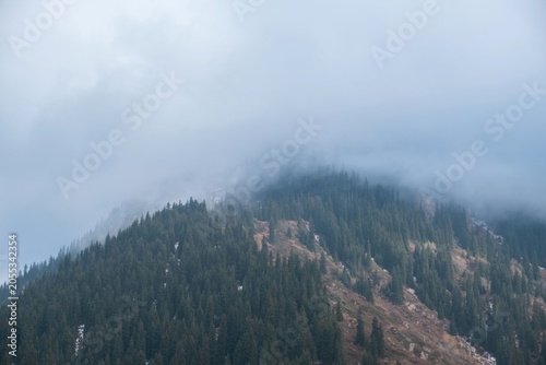 Misty mountain peak covered with dense pine forest under overcast sky. Professional commercial background suitable for travel, nature lifestyle projects, adventure themes, and text overlay  copy space