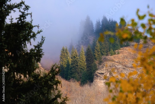 Scenic mountain landscape with evergreen pine trees covered in morning fog. Ideal for travel backgrounds, outdoor lifestyle concepts, and eco-friendly advertising campaigns with copy space.