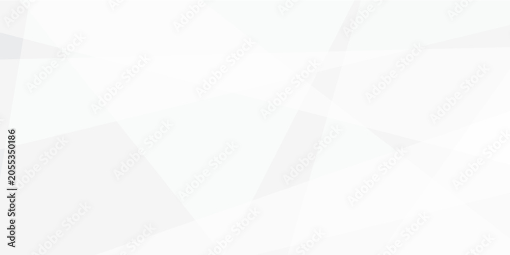 Obraz premium Abstract geometric background with intersecting lines and shapes in white and gray tones for design and technology concepts background design 